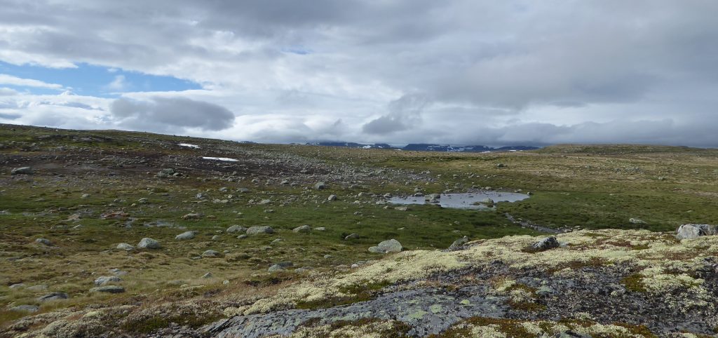 Tappar du en kniv – låt den falla